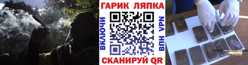 Купить где  Юрьевец  ГАШ Premium 