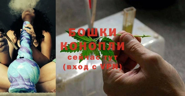 гашик Нягань