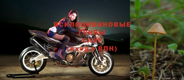 скорость Нязепетровск